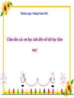 Tuần 3. Chiếc áo len