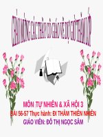 Bài 56 - 57. Thực hành: Đi thăm thiên nhiên