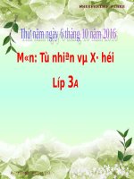 Bài 10. Hoạt động bài tiết nước tiểu