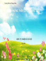 Bài 55. Thú (tiếp theo)