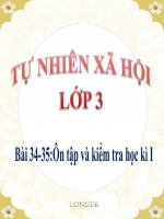 Bài 34-35. Ôn tập và Kiểm tra Học kì I