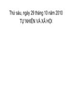 Bài 4. Phòng bệnh đường hô hấp