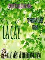 Bài 45. Lá cây