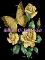 Chia số có bốn chữ số cho số có một chữ số (tiếp theo)