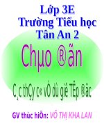 Tuần 15. Hũ bạc của người cha