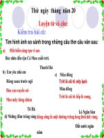 Tuần 4. Người mẹ