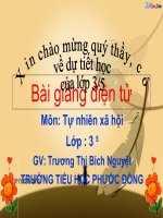 Bài 38. Vệ sinh môi trường (tiếp theo)