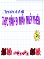 Bài 56 - 57. Thực hành: Đi thăm thiên nhiên