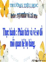 Bài 21-22. Thực hành: Phân tích và vẽ sơ đồ mối quan hệ họ hàng
