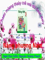 Tuần 12. Nắng phương Nam