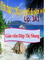 Bài 42. Thân cây (tiếp theo)