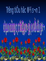 Tuần 10. Quê hương