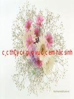 Bài 4. Gấp, cắt, dán bông hoa