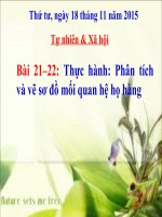 Bài 21-22. Thực hành: Phân tích và vẽ sơ đồ mối quan hệ họ hàng