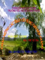 Tuần 10. Thư gửi bà