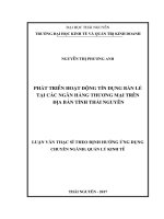 Phát triển hoạt động tín dụng bán lẻ tại các ngân hàng thương mại trên đi ̣a bàn tỉnh Thái Nguyên (LV thạc sĩ)