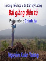 Tuần 22. Nghe-viết: Một nhà thông thái