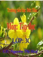 Tuần 22. Cái cầu