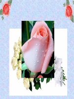 Vẽ trang trí hình tròn