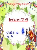 Bài 11. Vệ sinh cơ quan bài tiết nước tiểu