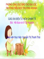 Tuần 25. Nghe-viết: Hội đua voi ở Tây Nguyên