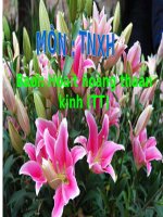 Bài 14. Hoạt động thần kinh (tiếp theo)