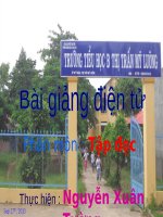 Tuần 11. Đất quý, đất yêu