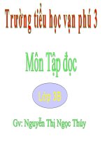 Tuần 25. Hội đua voi ở Tây Nguyên