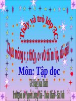 Tuần 8. Các em nhỏ và cụ già