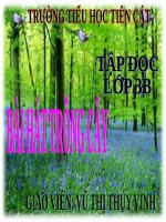 Tuần 31. Bài hát trồng cây