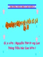 Tuần 31. Bác sĩ Y-éc-xanh