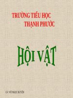 Tuần 25. Hội vật