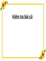 Tuần 24. Đối đáp với vua