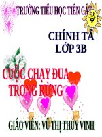 Tuần 28. Nghe-viết: Cuộc chạy đua trong rừng