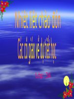 Tuần 24. Nghe-viết: Đối đáp với vua