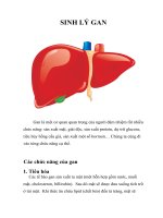 SINH lý GAN 