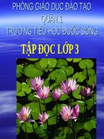 Tuần 22. Cái cầu