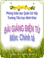 Tuần 28. Nghe-viết: Cuộc chạy đua trong rừng