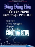 Tiếp cận peptit và giới thiệu phương pháp đồng đẳng hóa   nhật trường 
