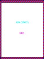 Tuần 16. Nhớ-viết: Về quê ngoại