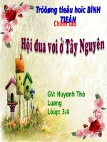 Tuần 25. Nghe-viết: Hội đua voi ở Tây Nguyên