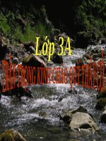 Tuần 31. Bác sĩ Y-éc-xanh