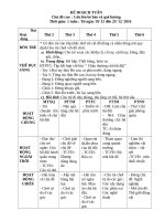 Chủ đề nghề nghiệp bé bảo vệ quê hương