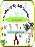 Tuần 25. Nghe-viết: Hội đua voi ở Tây Nguyên