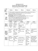 Chủ đề thế giới động vật sống dưới nước dành cho bé