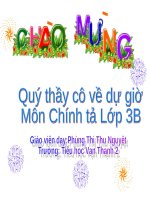 Tuần 15. Nghe-viết: Hũ bạc của người cha