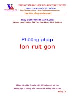 Phương pháp ion rut gon 