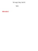 Tuần 28. Cuộc chạy đua trong rừng