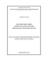 Giải pháp phát triển chuỗi cung ứng lợn thịt trên địa bàn tỉnh Thái Nguyên (LV thạc sĩ)