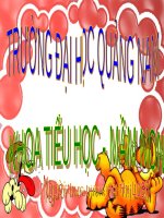 Tuần 1. Nghe-viết: Chơi chuyền